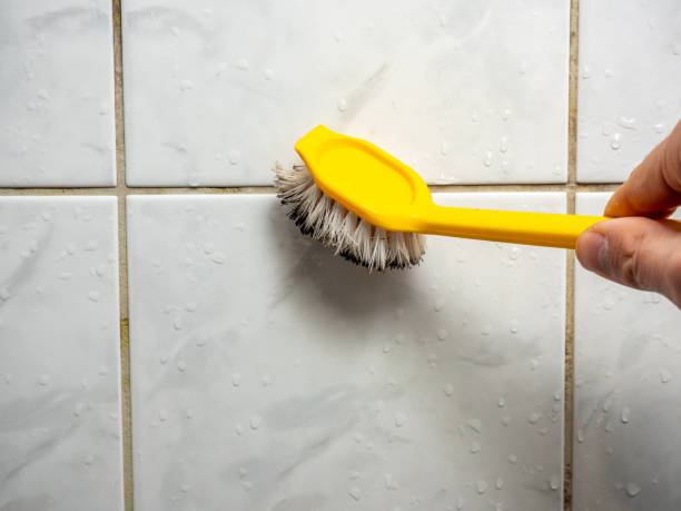 Best Affordable Mold Removal  in Boyes Hot Springs, CA