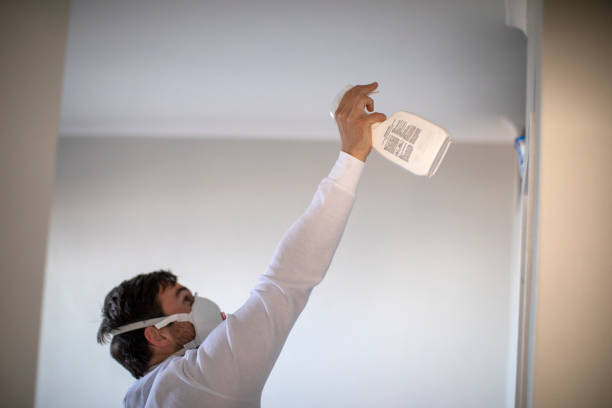 Best Home Mold Removal  in Boyes Hot Springs, CA
